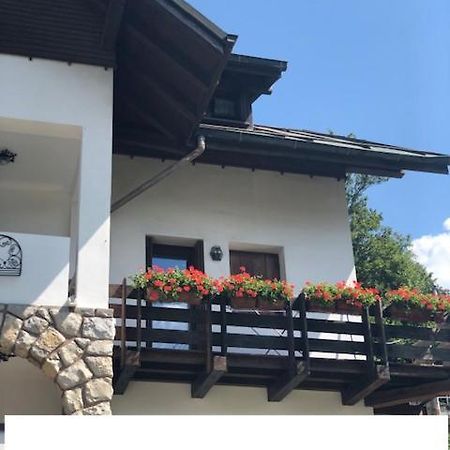 La Casa Di Monte Ricco Appartement Pieve di Cadore Buitenkant foto