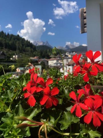 La Casa Di Monte Ricco Appartement Pieve di Cadore Buitenkant foto