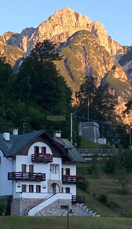 La Casa Di Monte Ricco Appartement Pieve di Cadore Buitenkant foto