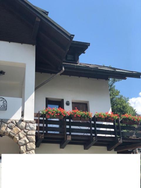 La Casa Di Monte Ricco Appartement Pieve di Cadore Buitenkant foto