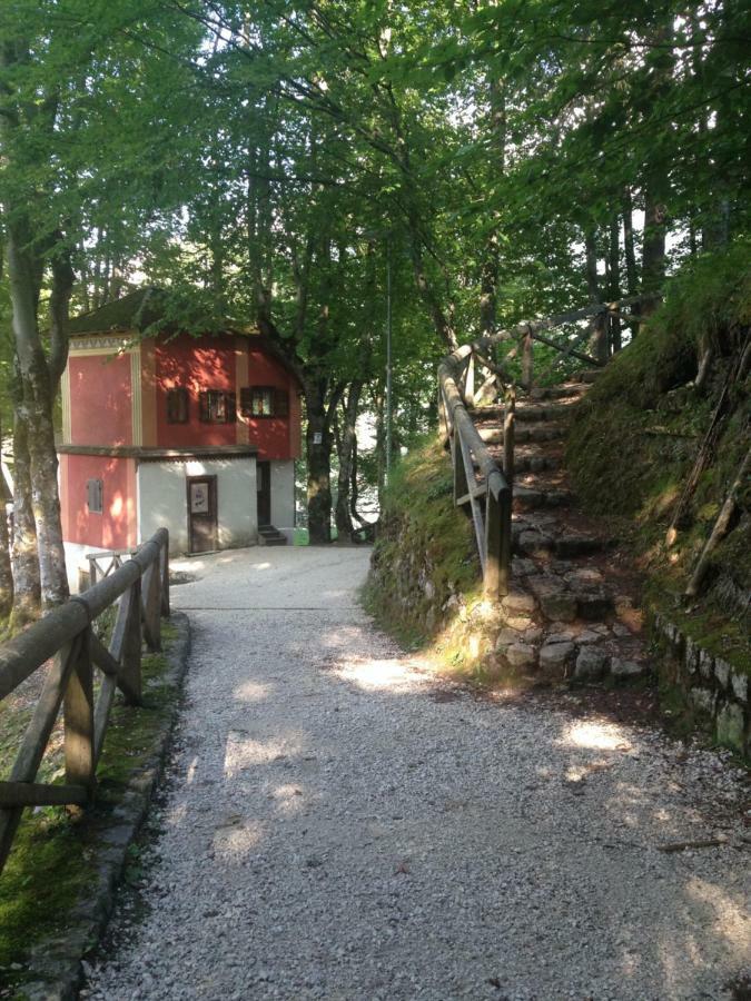 La Casa Di Monte Ricco Appartement Pieve di Cadore Buitenkant foto